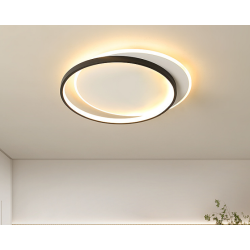Ceiling light