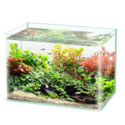 Fish tank