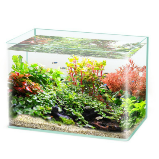 Fish tank Fish tank
